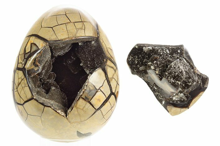 Septarian Dragon Egg Geode - Removable Section #329480
